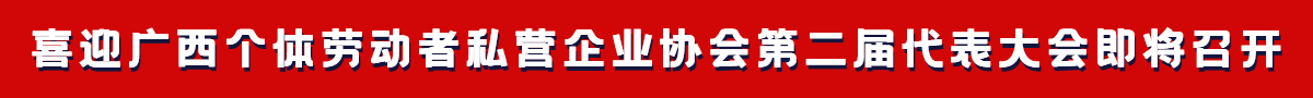 广西个体劳动者私营企业协会第二届代表大会